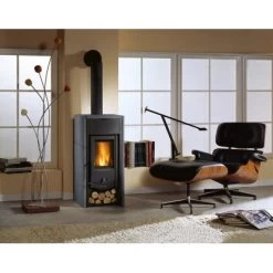 La Nordica Kaminofen Asia Naturstein 6 KW EEK: A+ -Hausheizung Geschäft 4017537294051 1009 AB 03