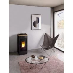 FreePoint Pelletofen Life 9 Stahl Schwarz-Dunkelgold 2,5 KW - 8,5 KW EEK: A+ -Hausheizung Geschäft 8053859014911 1009 AB 01