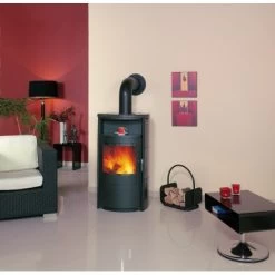 Hark Dauerbrand Kaminofen Taifun Meteorschwarz 6 KW Mit Automatik EEK: A+